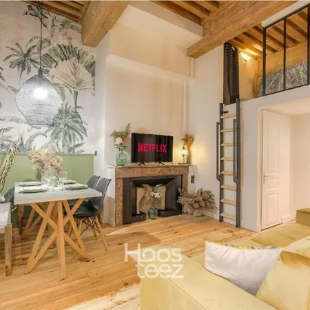 Le Raffine Avec Caractere En Hypercentre Apartmán