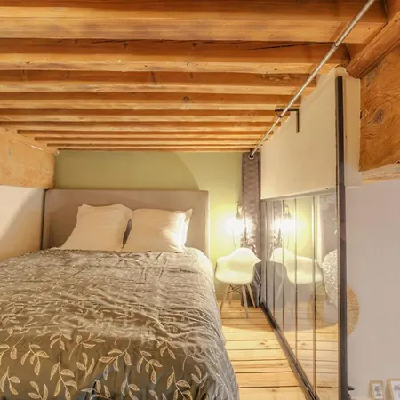 Le Raffine Avec Caractere En Hypercentre Apartman *
